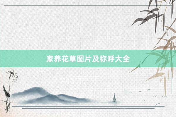 家养花草图片及称呼大全