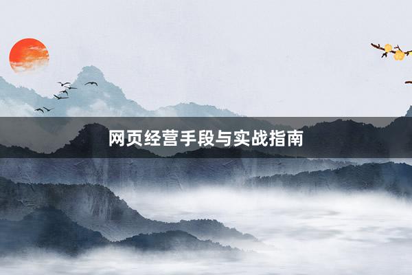 网页经营手段与实战指南