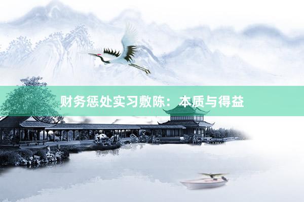 财务惩处实习敷陈：本质与得益